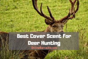 best-cover-scent-for-deer-hunting