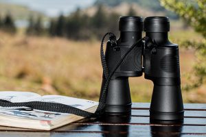 best 10×42 binoculars for hunting