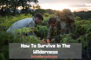 How to survive wilderness