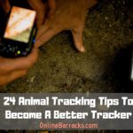 Animal Tracking Tips