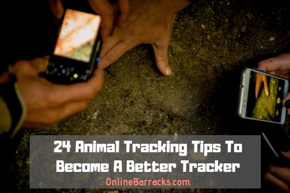 Animal Tracking Tips