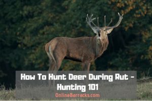 How To Hunt Deer During Rut