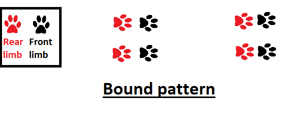 bound pattern