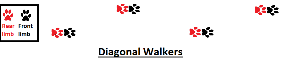 diagonal walkers