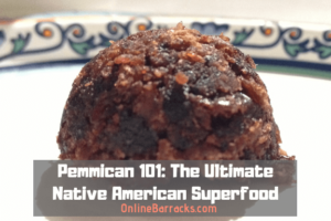 pemmican recipes and history