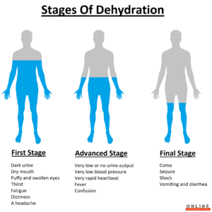 The stages of dehydration