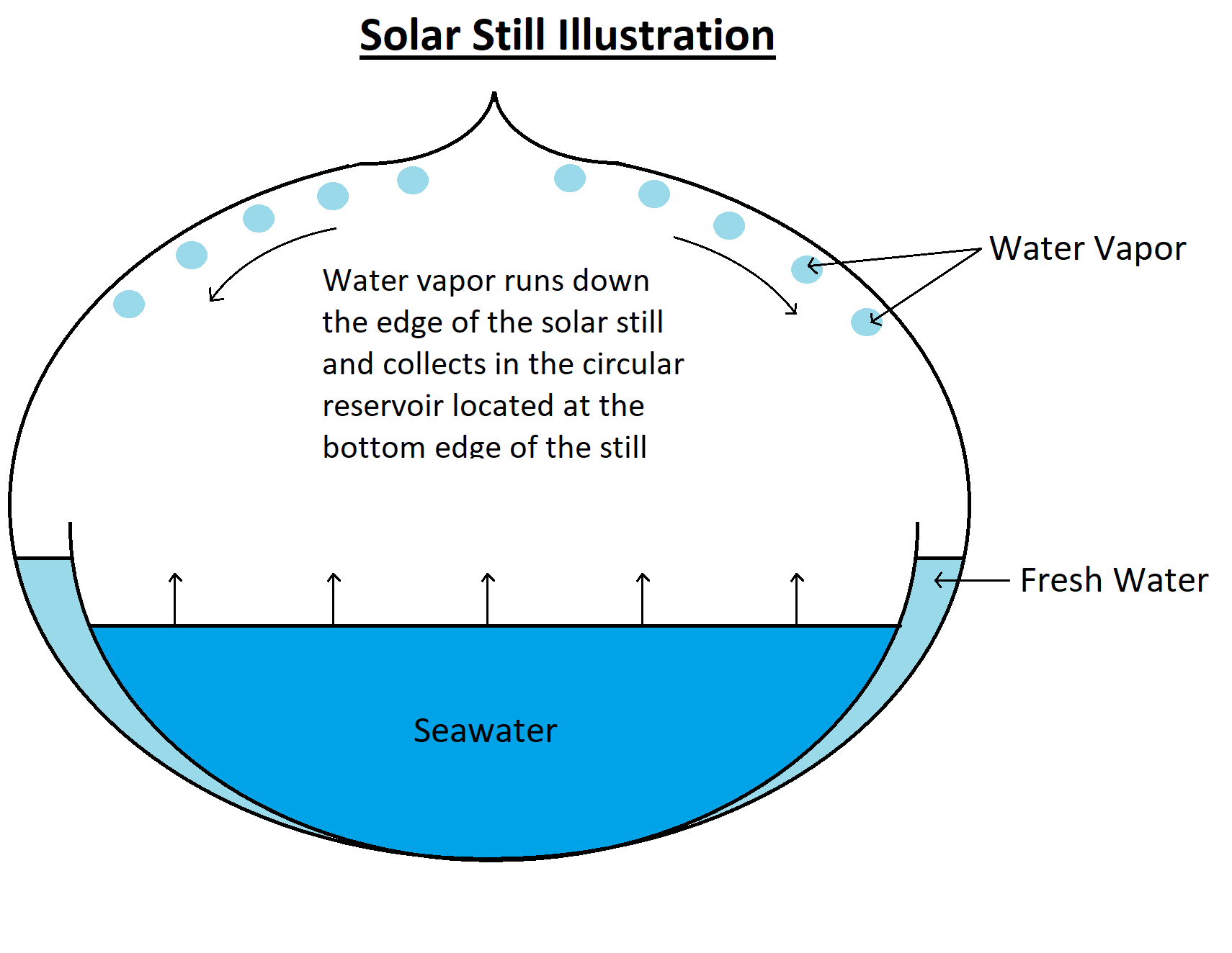 solar still