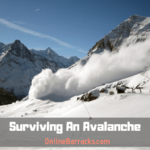 Surviving An Avalanche
