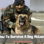 How To Survive A Dog Attack