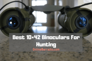 Best 10×42 Binoculars For Hunting