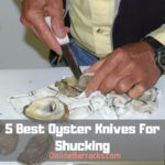 Best Oyster Knives For Shucking