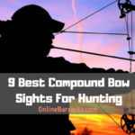 best compound bow sights for hunting