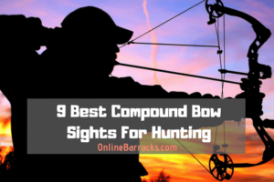 best compound bow sights for hunting
