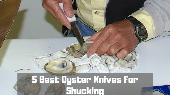 Best Oyster Knives For Shucking