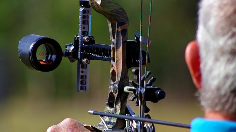 Types Of Bow Sights